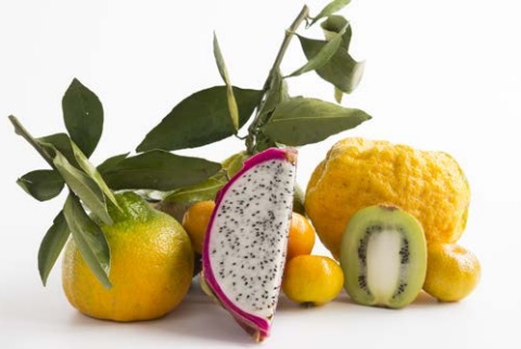 Intravenous Vitamin C